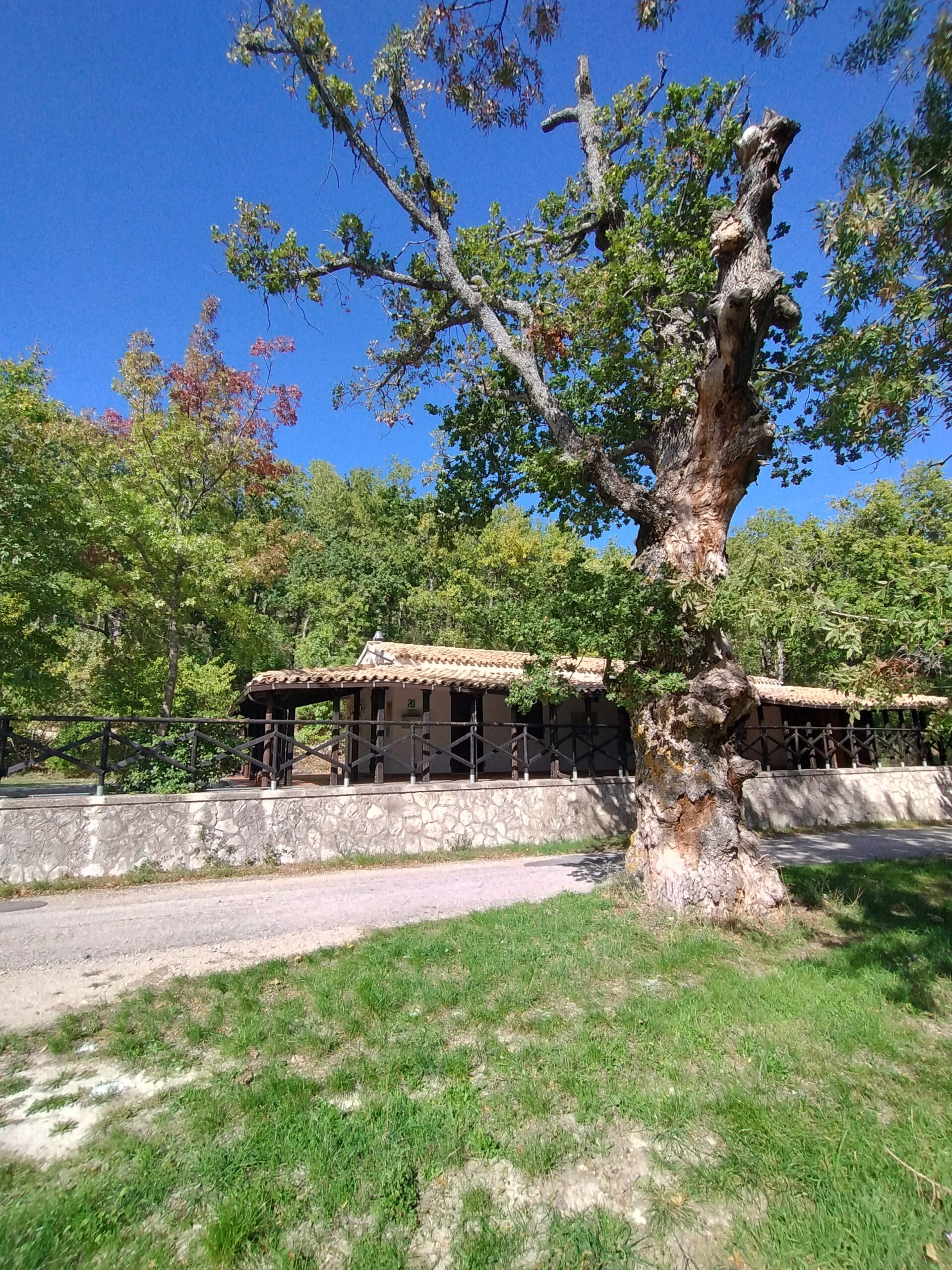 Esterno del CEA Casanatura nel bosco di Fontecampana