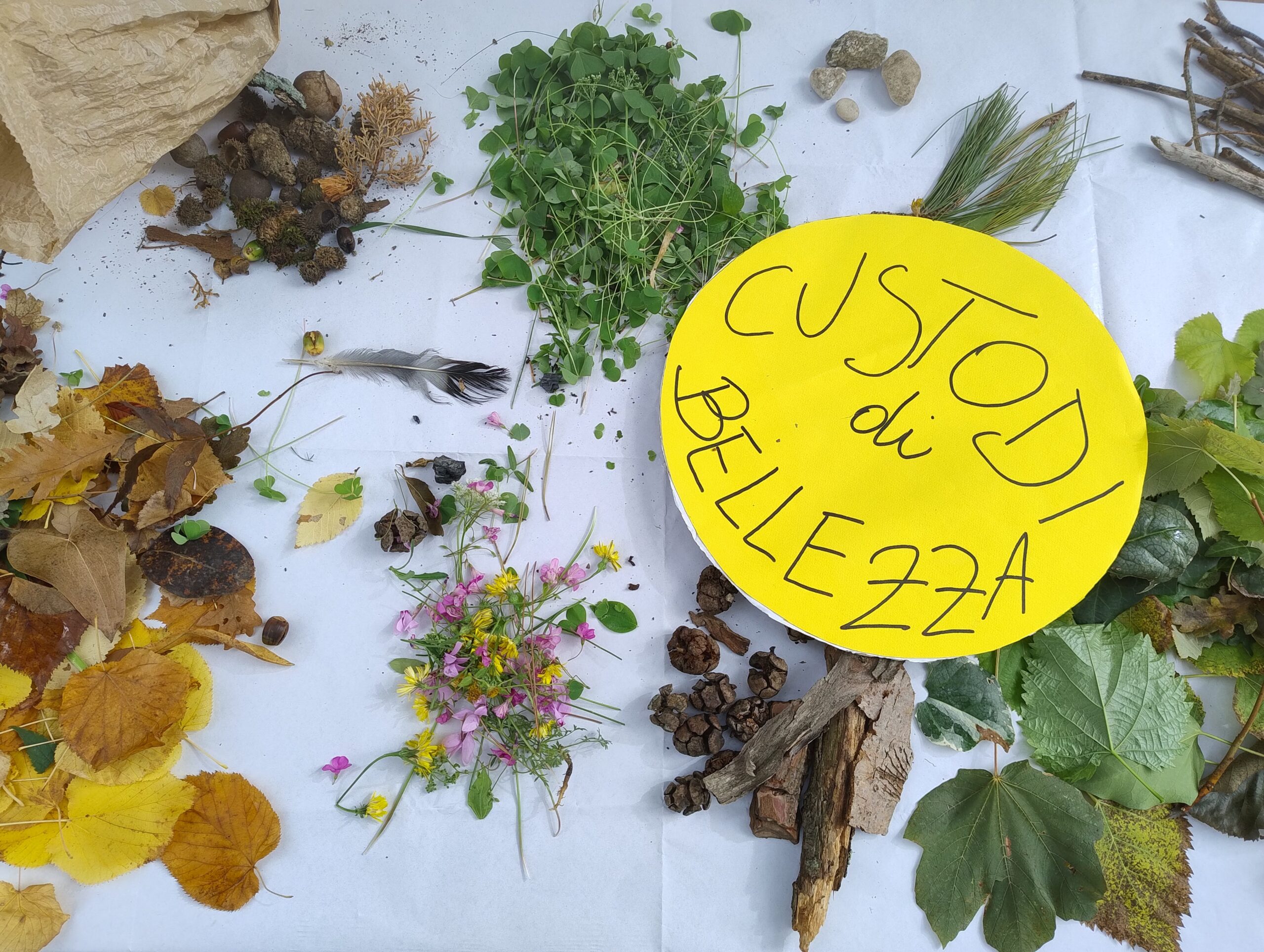 Composizione con foglie, fiori ed elementi naturali realizzata durante un laboratorio