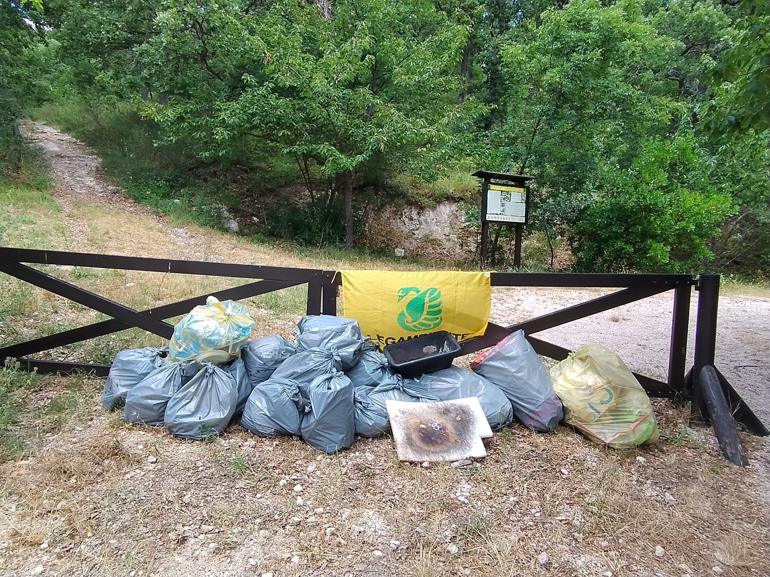 Rifiuti raccolti durante un’attività di cura del bosco