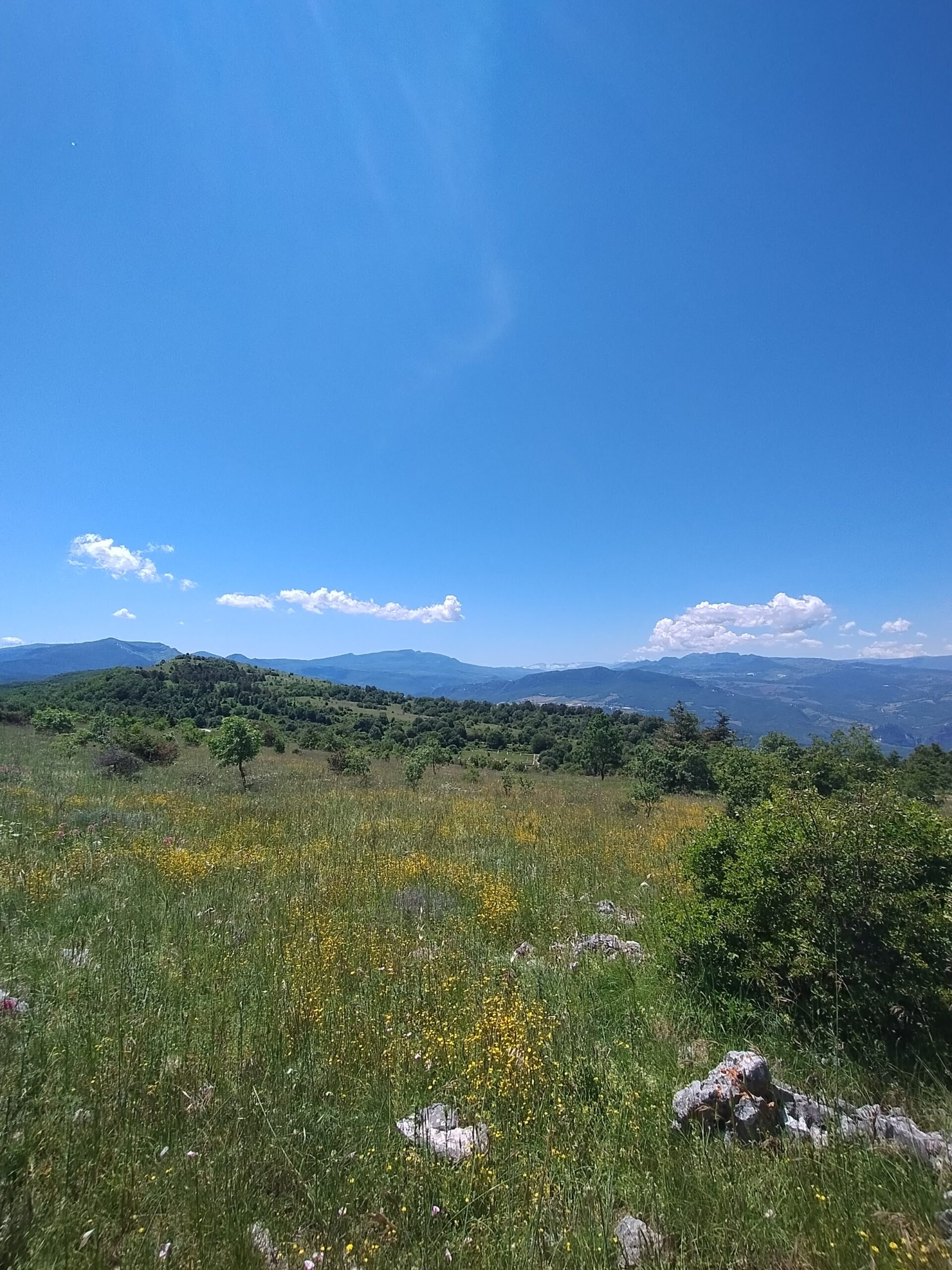 Paesaggio aperto e vegetazione di Monte Pallano